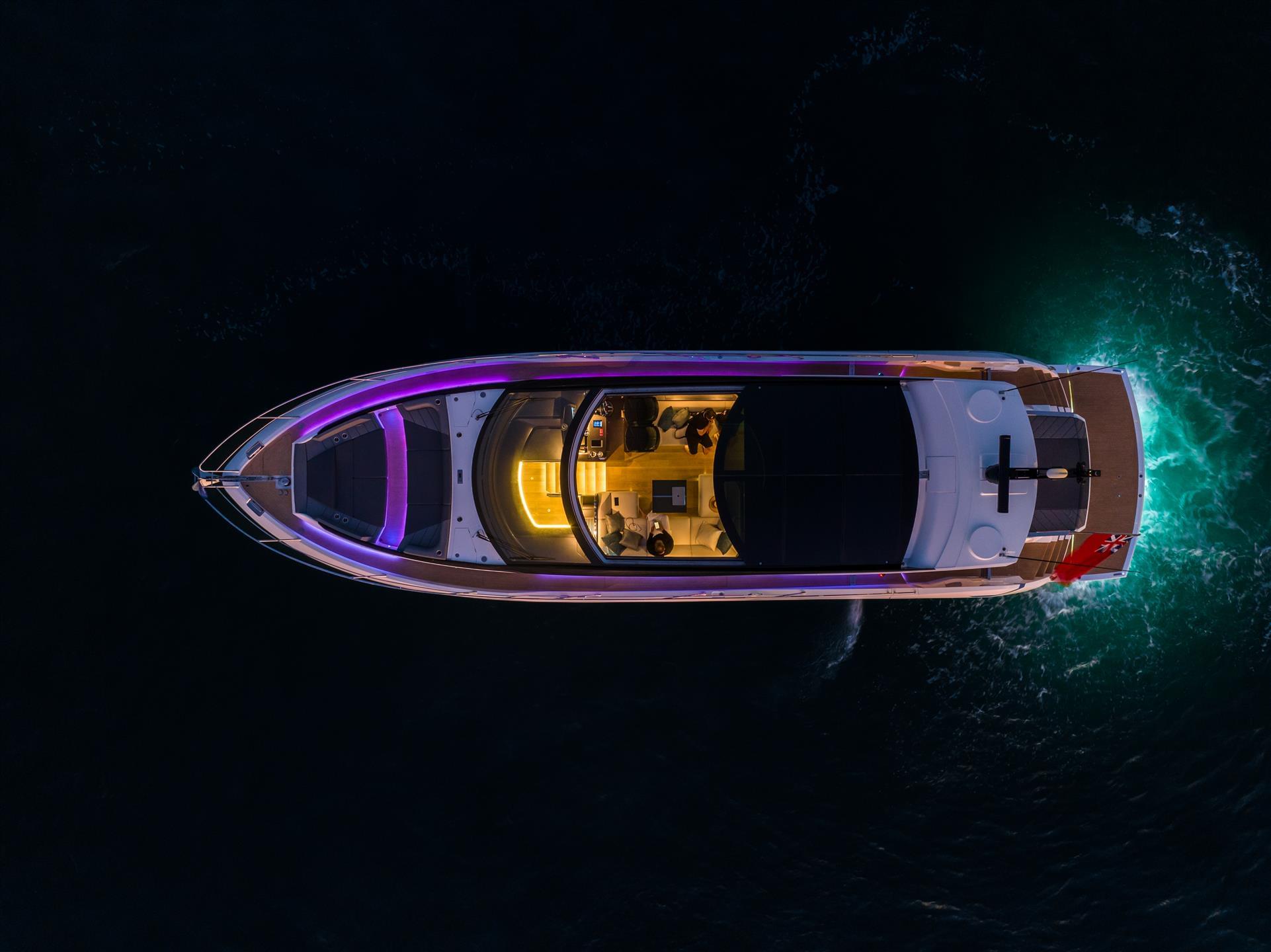 Predator 65