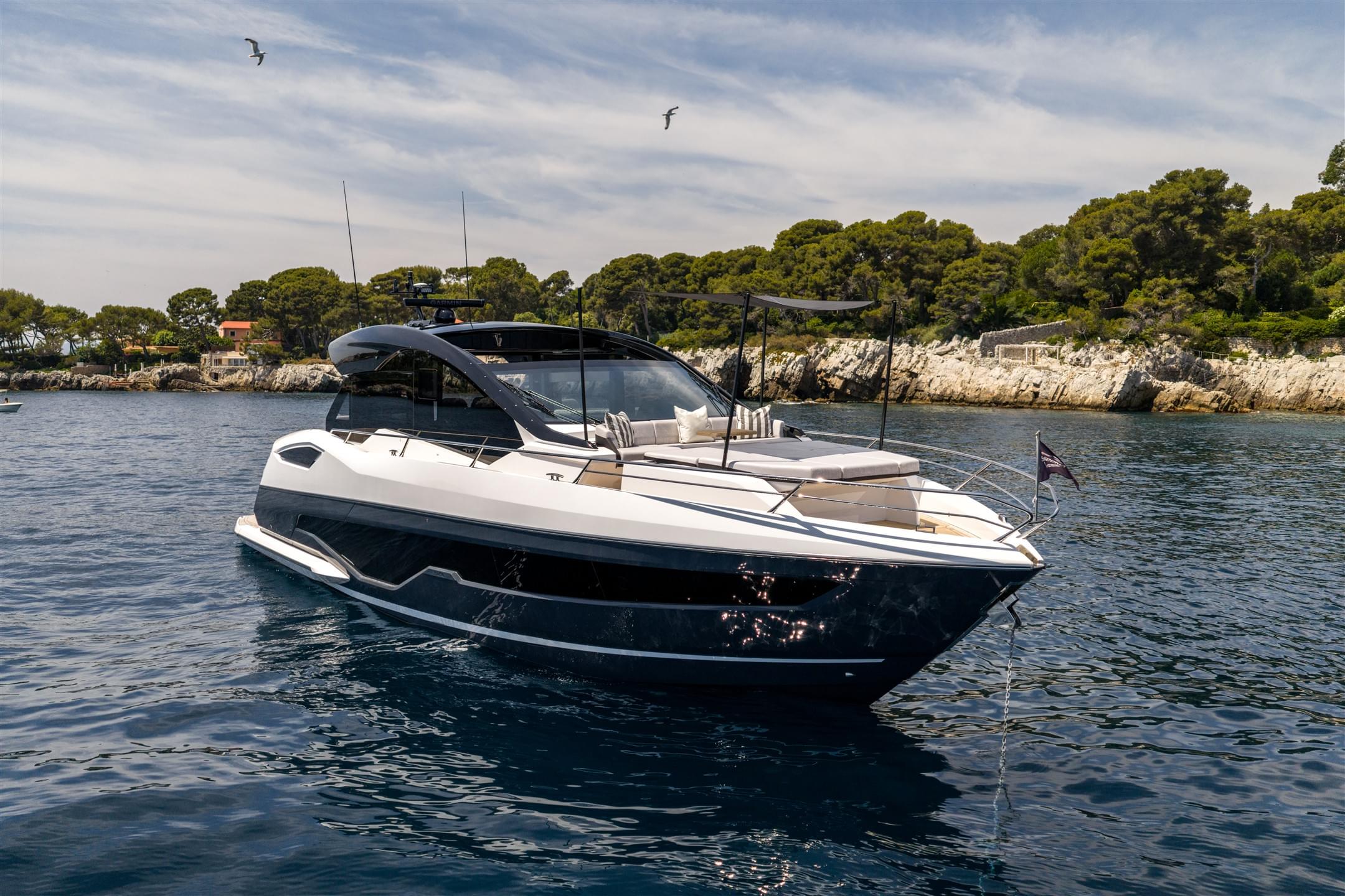 PREDATOR 55