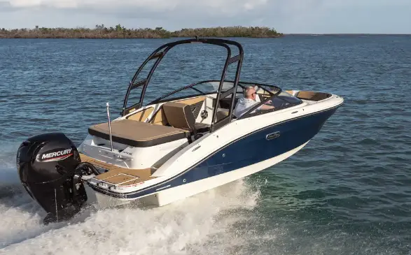 Sea Ray SPX 190 Outboard